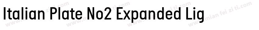 Italian Plate No2 Expanded Light字体转换